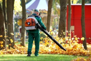 Seasonal cleanup and yard maintenance services in Morris County.