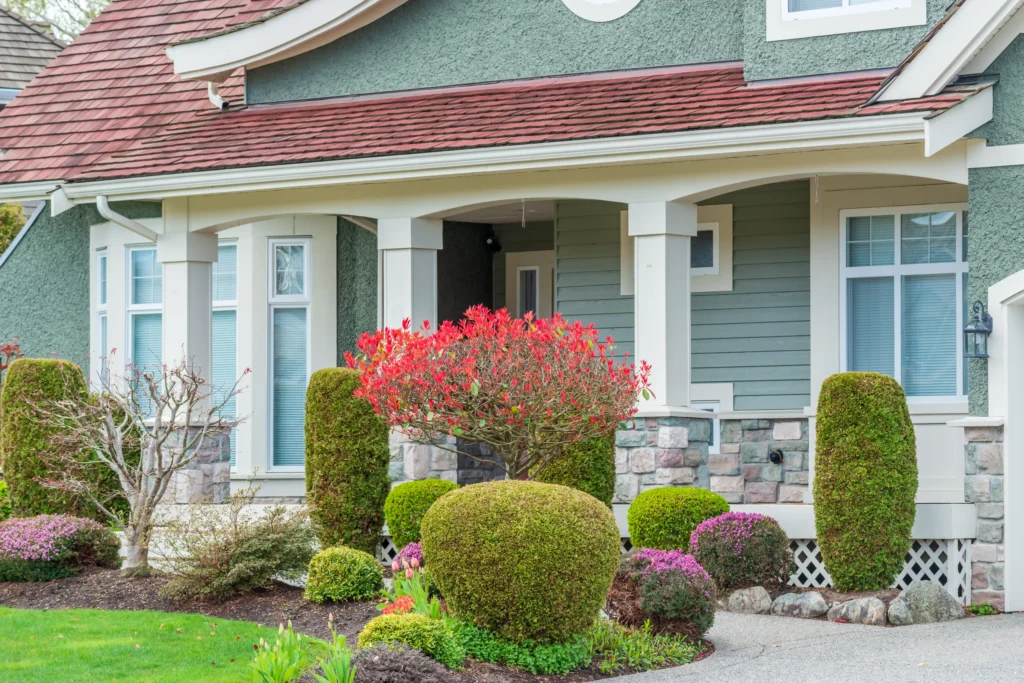 spring front beautiful yard