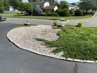 Low-maintenance plants including native species and perennials for landscaping