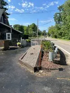 Garden care experts assessing a yard for invasive plant removal