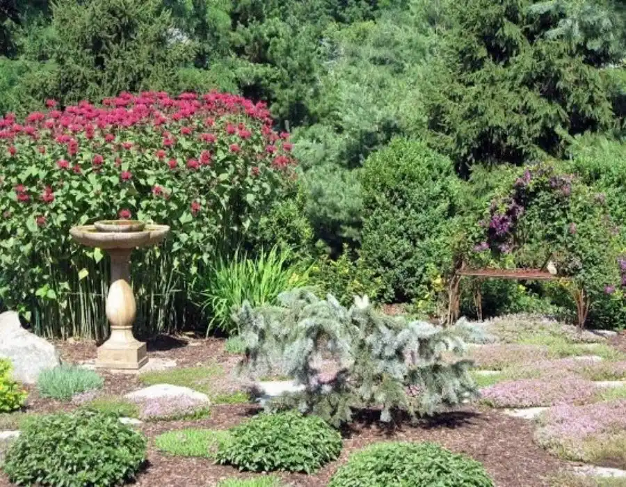 Garden design and planting across Morris County, NJ