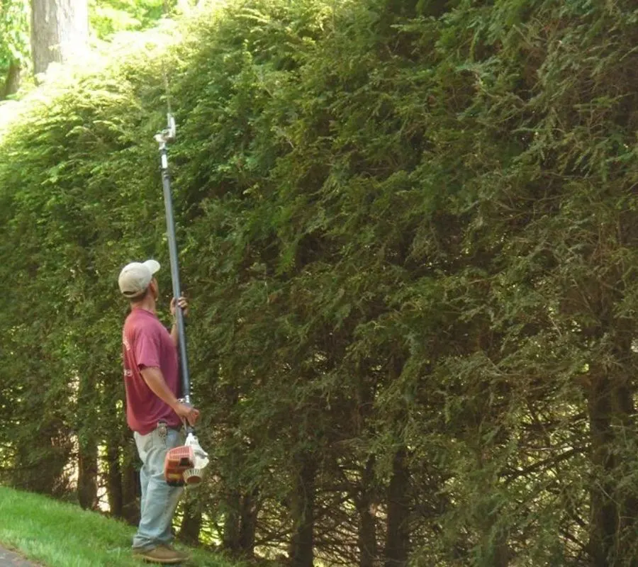 Shrub pruning on a lakeside garden in Rockaway, NJ