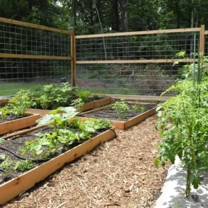 garden-beds-near-me (1)