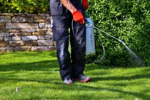 pesticide-application-in-morriscounty