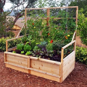 raised-garden-beds