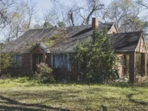 Overgrown house with dense vegetation and unkempt yard, illustrating the need for property cleanup and bush removal services in Morris County.