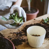 Best landscape contractor Morris County NJ tending to garden